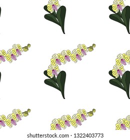 Orchid.Seamless pattern. Vector illustration.