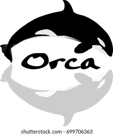 Orcinus Orca Khiller Whale