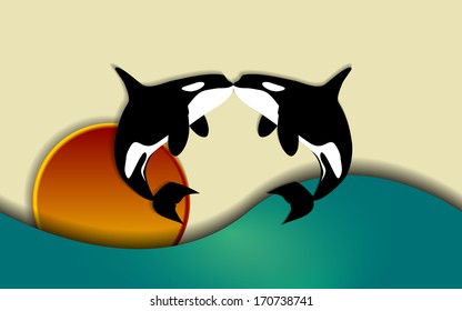 Orcinus orca, Killer whale jumping and kissing in sunset, vector illustration