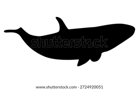 Orcinus orca killer whale silhouette. Realistic vector animal