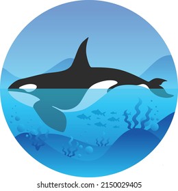 Orcinus orca and reefs in ocean. World Ocean Day. Colored vector illustration.