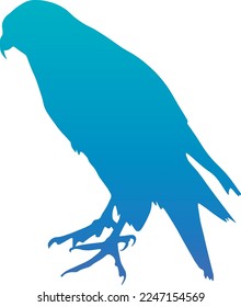 The order Falconiformes is represented by the extant family Falconidae (falcons and caracaras) and a handful of enigmatic Paleogene species