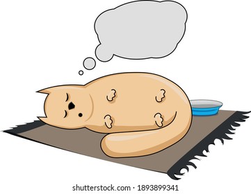An ordinary cat sleeps on a mat and thinks about something