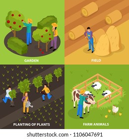 Ordinary farmers life isometric 2x2 design concept with colourful outdoor compositions of household and farmstead activities vector illustration