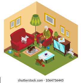 Ordinary life of old lady and small dogs, isometric composition with home interior, vector illustration