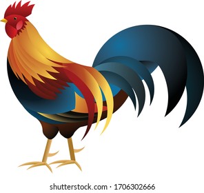 An ordinary rooster in vector.
