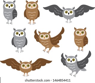 Ordinary simple owl multi angle set