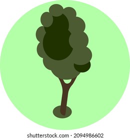 An ordinary tree. Green background in the form of an even circle. Nature. Vector illustration.