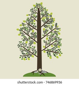 An ordinary tree with leaves