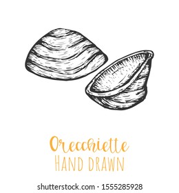 Orecchiette type pasta hand drawn vector illustration, isolated sketched pasta shape.