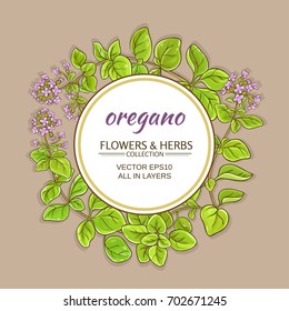 oregano branches vector frame on color background