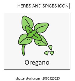 Oregano color icon. Dried leaves for cooking to add flavour. Traditional Italian spice for food preparation. Herbs and spices concept. Isolated vector illustration
