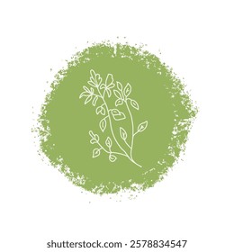 Oregano culinary herb label. Hand drawn badge. Vector hand drawn doodle illustration isolated on white background.