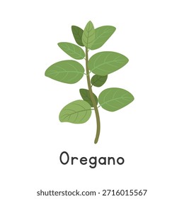 Oregano Flat Cartoon Vector Illustration Isolated on White Background