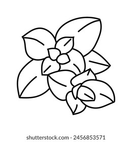 oregano food herb line icon vector. oregano food herb sign. isolated contour symbol black illustration