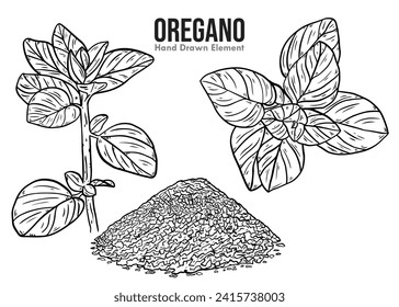 Ilustración vectorial de boceto de tinta dibujada a mano de Oregano aislada en fondo blanco. Colección de plantas de orégano o estilo grabado a mano. polvo de orégano, plantas y hojas de orégano. material alimentario