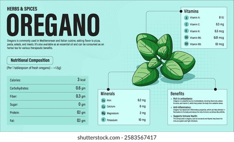 Oregano Herb Nutrition Facts and Health Benefits–Detailed Vector Infographic for Healthy Eating and Wellness