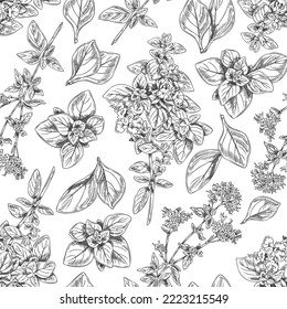 Oregano herb seamless pattern, monochrome sketch vector illustration on white background. Hand drawn oregano branches with leaves and flowers. Botanical pattern.