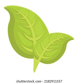 Oregano Icon Cartoon Vector. Leaf Herb. Basil Plant