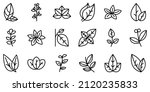 Oregano icons set outline vector. Herb aroma. Cooking spices