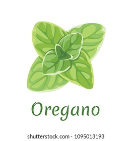 Oregano isolated on white background. Vector icon in a flat style. Herbs, spices, fragrance, spice, seasoning, plant. 