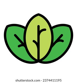 Oregano leaf icon outline vector. Herb basil. Garden food color flat