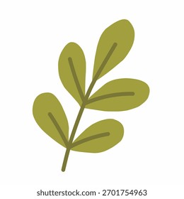 Oregano Blätter in warmen flachen handgezeichneten Stil zum Kochen oder botanische Illustration gezeichnet.
