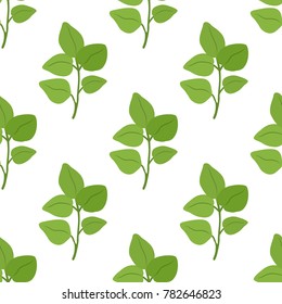 Oregano leaves seamless pattern, organic herb, condiment. Made in cartoon flat style. Vector illustration