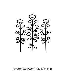 Oregano сolor line icon. Essential oils. Pictogram for web page, mobile app, promo. UI UX GUI design element. Editable stroke.