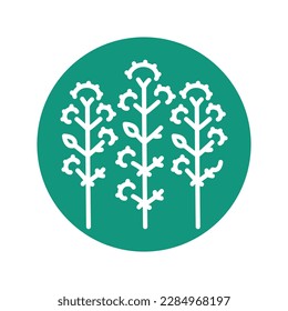 Oregano сolor line icon. Pictogram for web page.