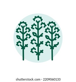 Oregano olor line icon. Pictogram for web page