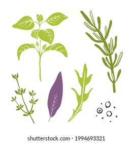 Oregano, rosemary, thyme, sage, arugula, pepper. Colorful paper cut collection of culinary herbbs isolated on white background. Doodle hand drawn fruits. Vector illustration