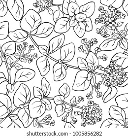 oregano seamless pattern