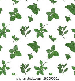 Oregano seamless pattern with sample in swatch panel (AI)