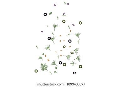 Oregano spice Olive slices vector illustration isolated on white background