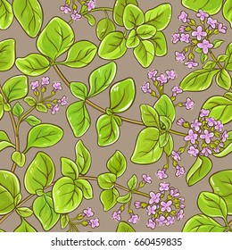 oregano vector pattern