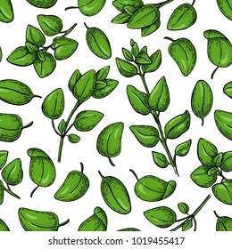 Oregano vector seamless pattern. Isolated Herb plant branch with leaves. Hand drawn illustration. Detailed organic product sketch. Cooking spicy ingredient