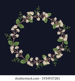 Ilustración vectorial simple de Oregano