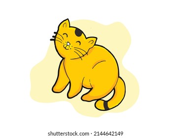 Oren cat in my house