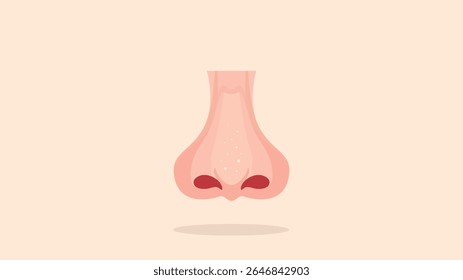 órgão anatomia medicina humana nariz