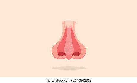órgão anatomia medicina humana nariz