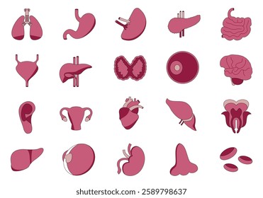 Organ And Body Part Collection Element