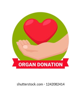 Organ donation concept. Flat vector colorful illustration. Human hand with heart in a green circle with red ribbon. World donor day icon. Organ donation saving lives.