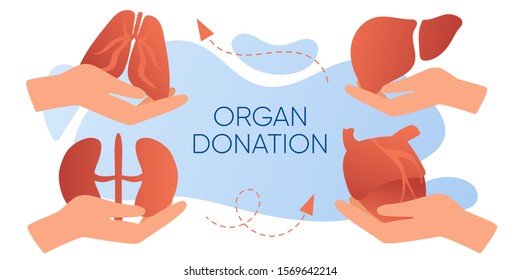 Organ donation web banner, flyer. Hand holding human realistic liver, heart, kidneys, lungs. National organ donor day. Internal organ for transplantation. Volunteering, saving lives and health care