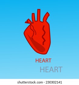organ heart icon vector blue background