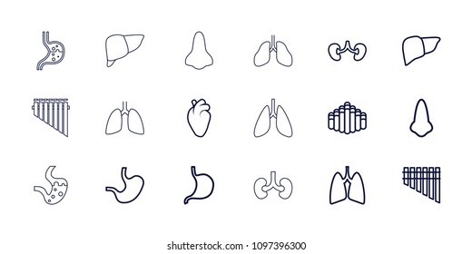 Organ Icon. Collection Of 18 Organ Outline Icons Such As Nose, Stomach, Liver, Kidney, Lungs. Editable Organ Icons For Web And Mobile.