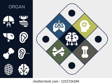 organ icon set. 13 filled organ icons.  Collection Of - Brain, Bone, Listening, Liver, Ear, Brainstorming, Organ, Lungs, Bones