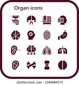 organ icon set. 16 filled organ icons.  Simple modern icons about  - Organ, Brainstorming, Cage, Intellectual, Brain, Stomach, Listening, Lungs, Ear, Bones, Bone