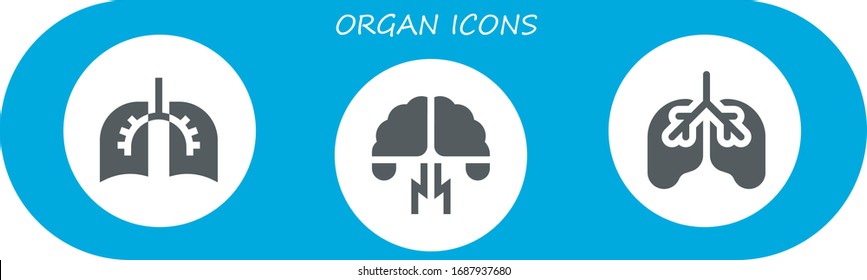 organ icon set. 3 filled organ icons.  Simple modern icons such as: Lungs, Brainstorming