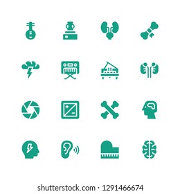 organ icon set. Collection of 16 filled organ icons included Brain, Piano, Listen, Brainstorm, Bones, Diaphragm, Kidneys, Brainstorming, Bone, Vessel, Yueqin